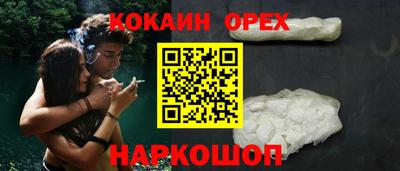 гидра Ростов-на-Дону