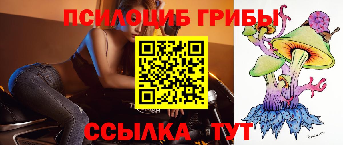 Касимов  купить наркоту  Псилоцибиновые грибы Psilocybine cubensis  Вход с VPN  Псилоцибиновые грибы Cubensis 