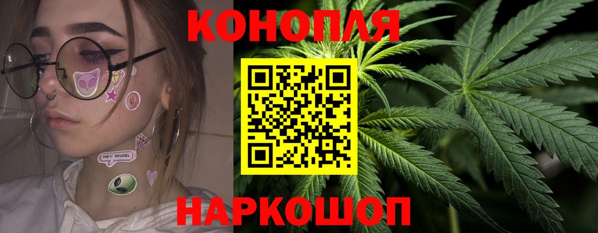 Бошки Шишки семена  Канабис конопля  МАРИХУАНА семена  Каннабис планчик  Касимов  Вход с VPN 